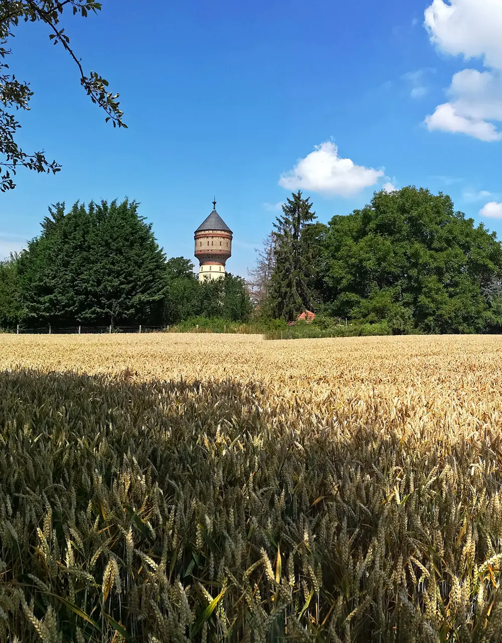 Wasserturm in Lippstadt